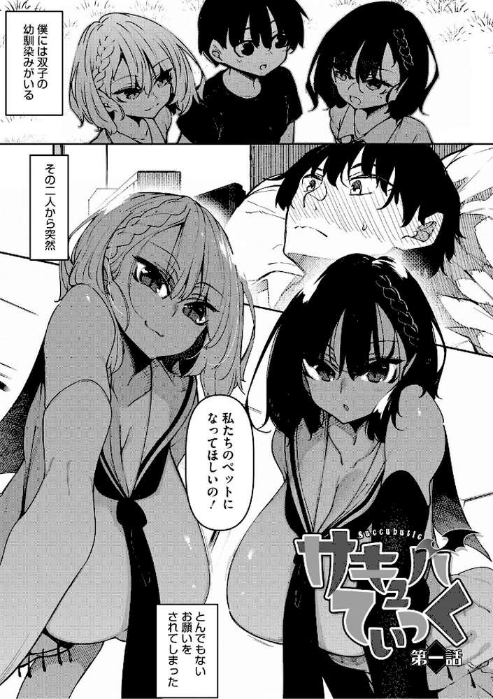 サキュバてぃっく【単行本】【復八磨直兎】 (p2)