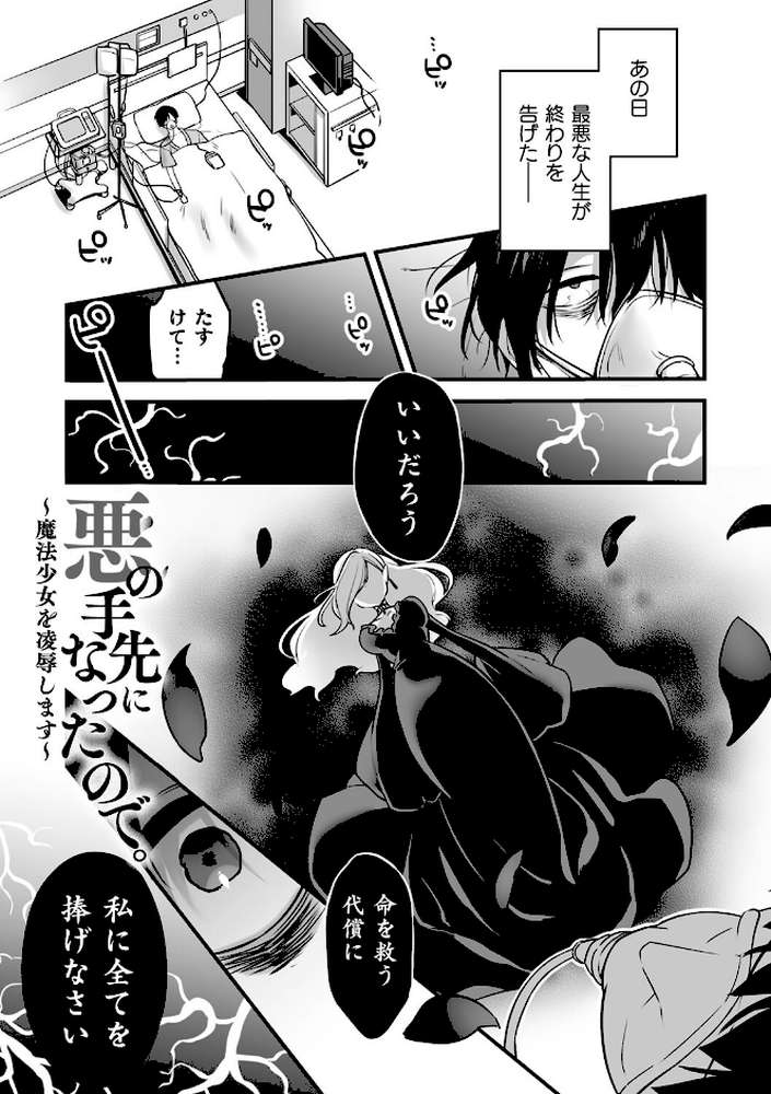 悪の手先になったので。 〜魔法少女を××します〜 THE BOOK1