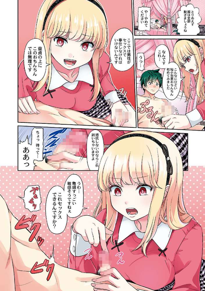 ざ・ふぃめーる・どみねーしょん