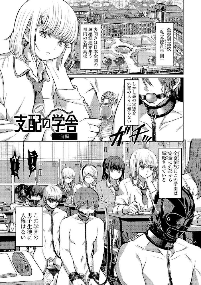 ざ・ふぃめーる・どみねーしょん