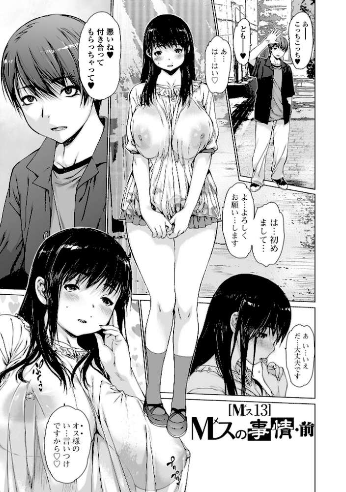メスシコ ーあたしを全身でイかせてー【ゼロの者】 (p30)