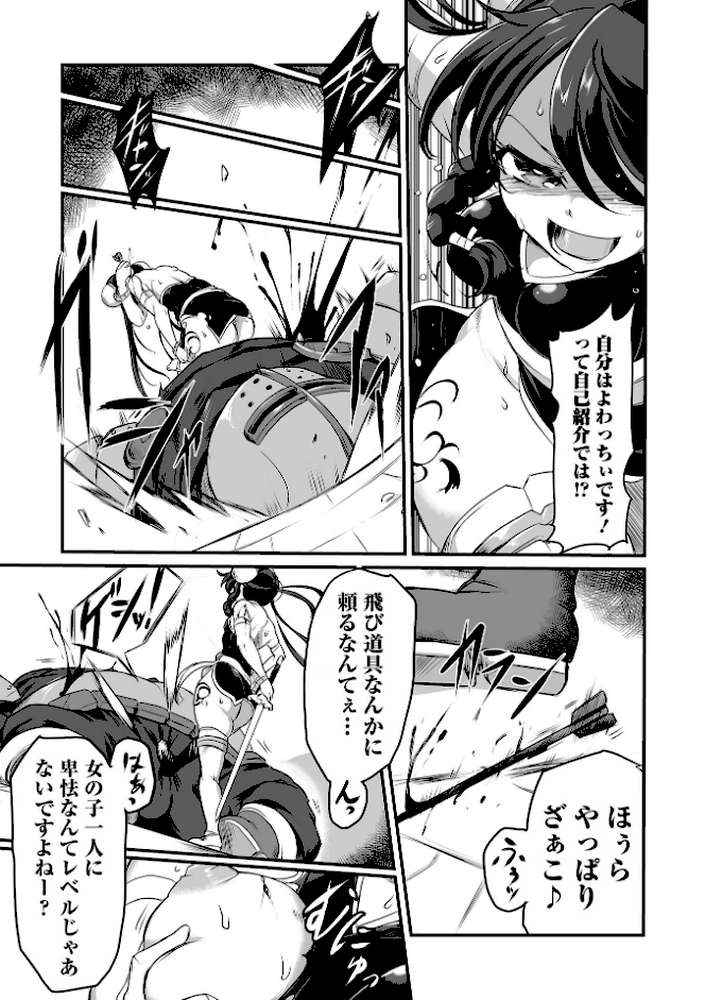 完全敗北ヒロイン図姦