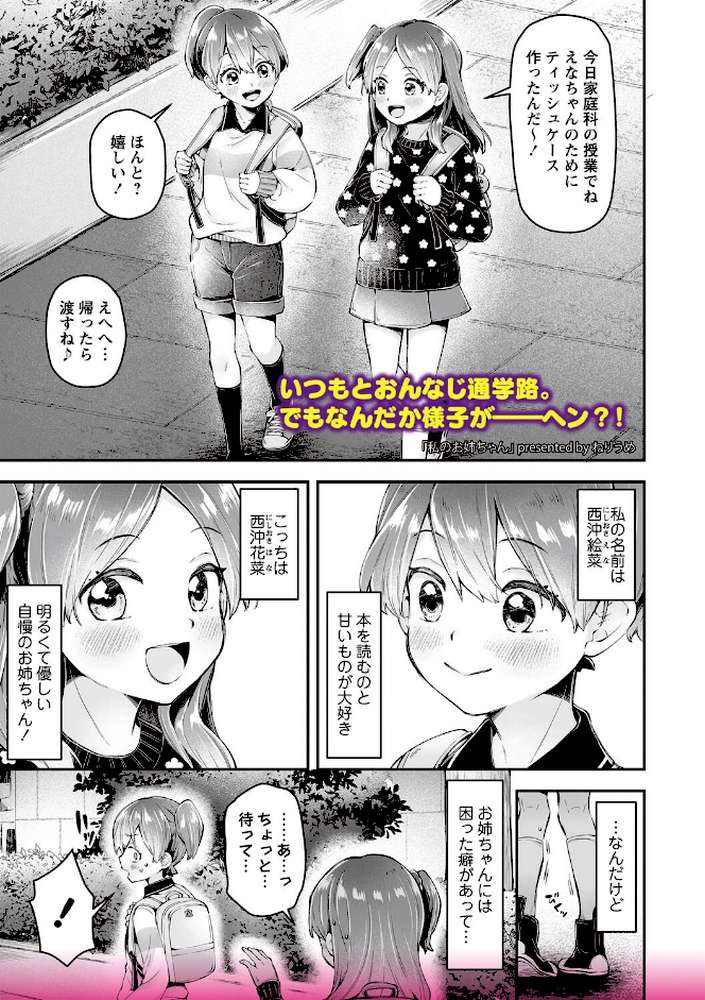 私のお姉ちゃん【ねりうめ】 (p1)