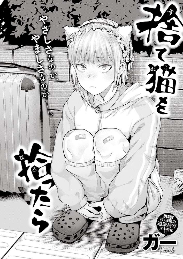 捨て猫を拾ったら