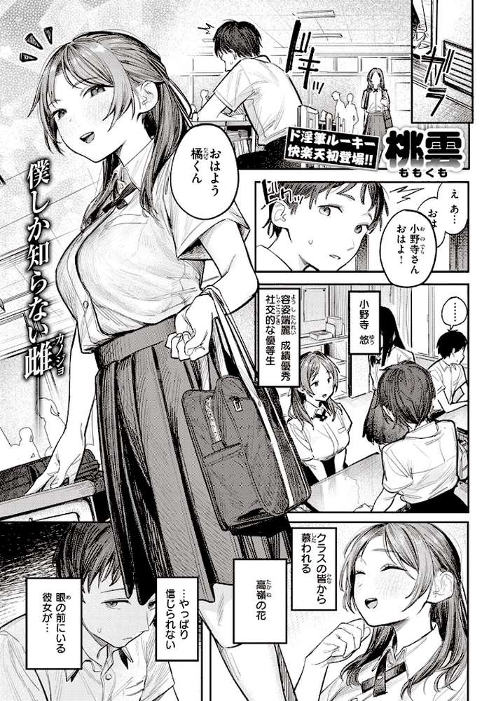 ミラレタガリ【桃雲】 (p2)