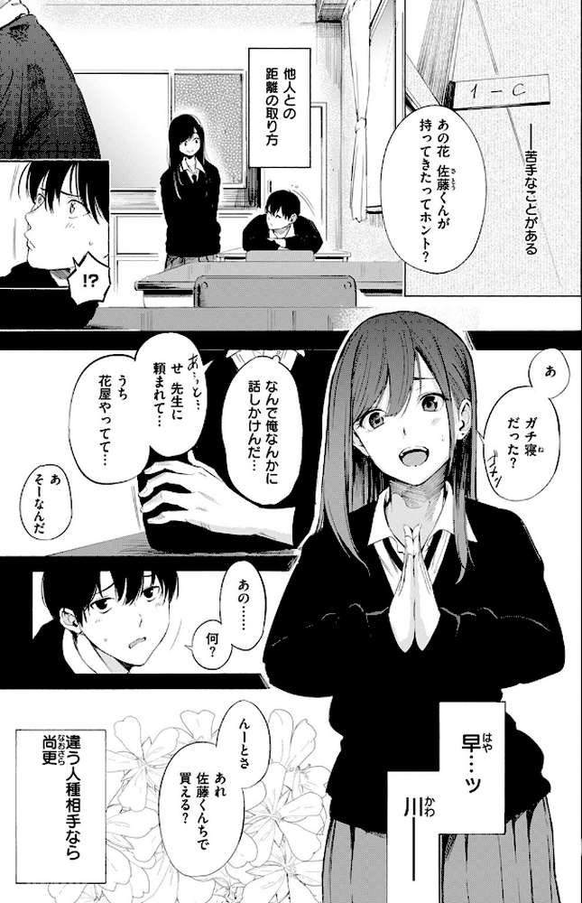 ゼラニウム【さんじゅうろう】 (p2)