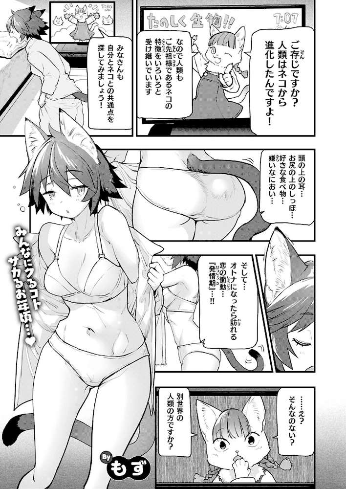 ネコの惑星・幼馴染