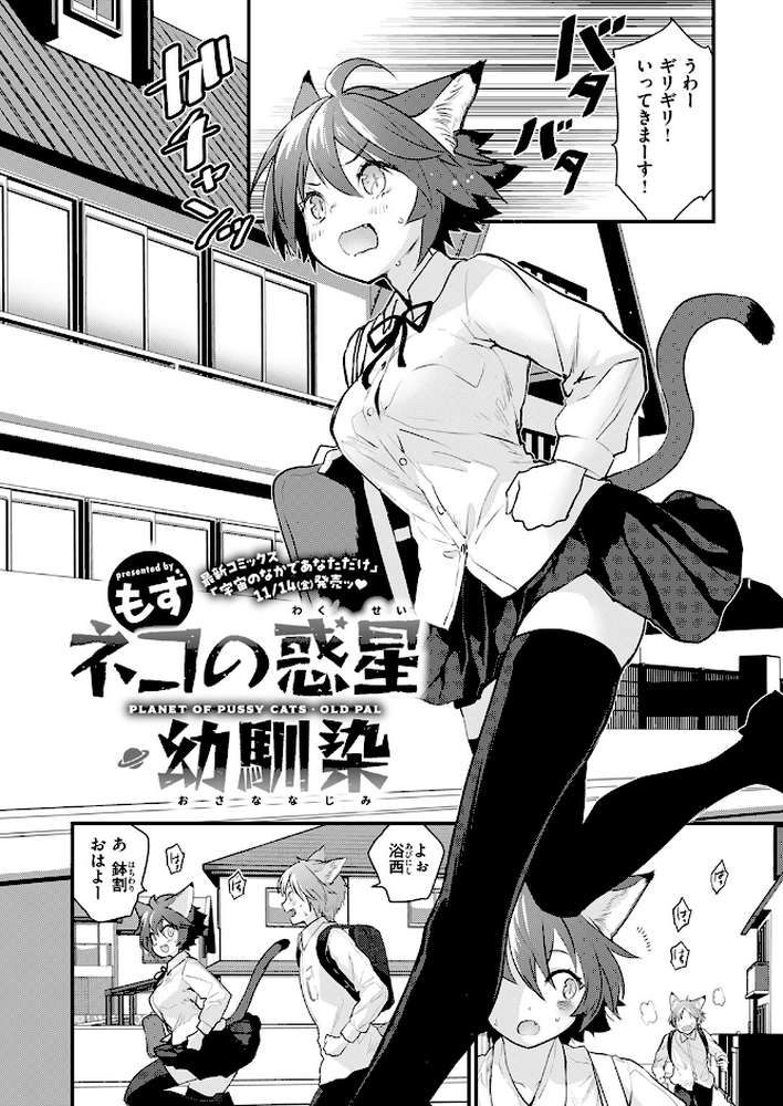 ネコの惑星・幼馴染