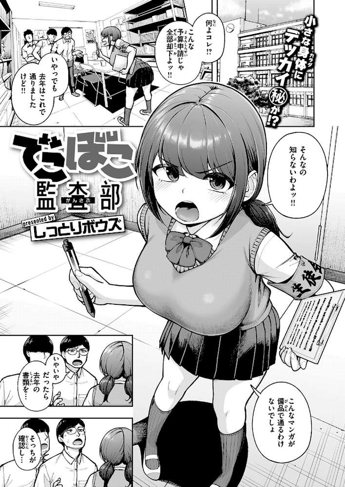 でこぼこ監査部