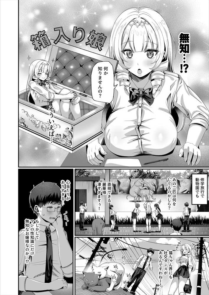 性知識にだけ無知すぎるお嬢様【犬居ぬいぬ】 (p12)