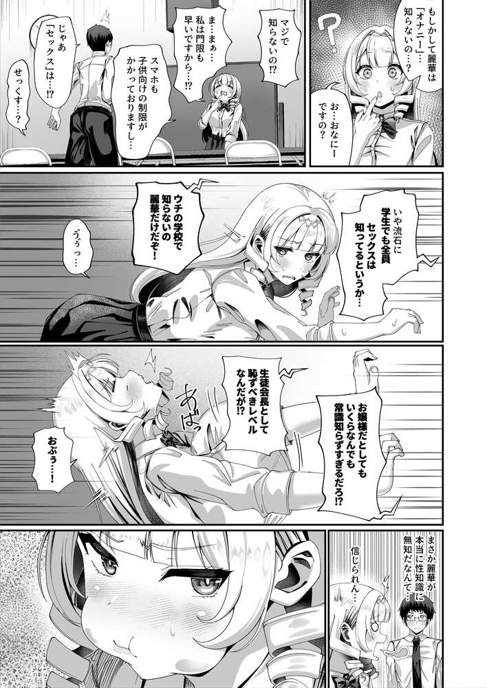 性知識にだけ無知すぎるお嬢様【犬居ぬいぬ】 (p13)