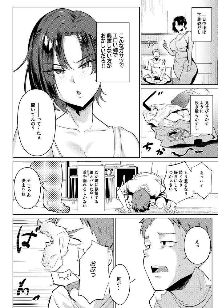 姉ちゃんサブスク