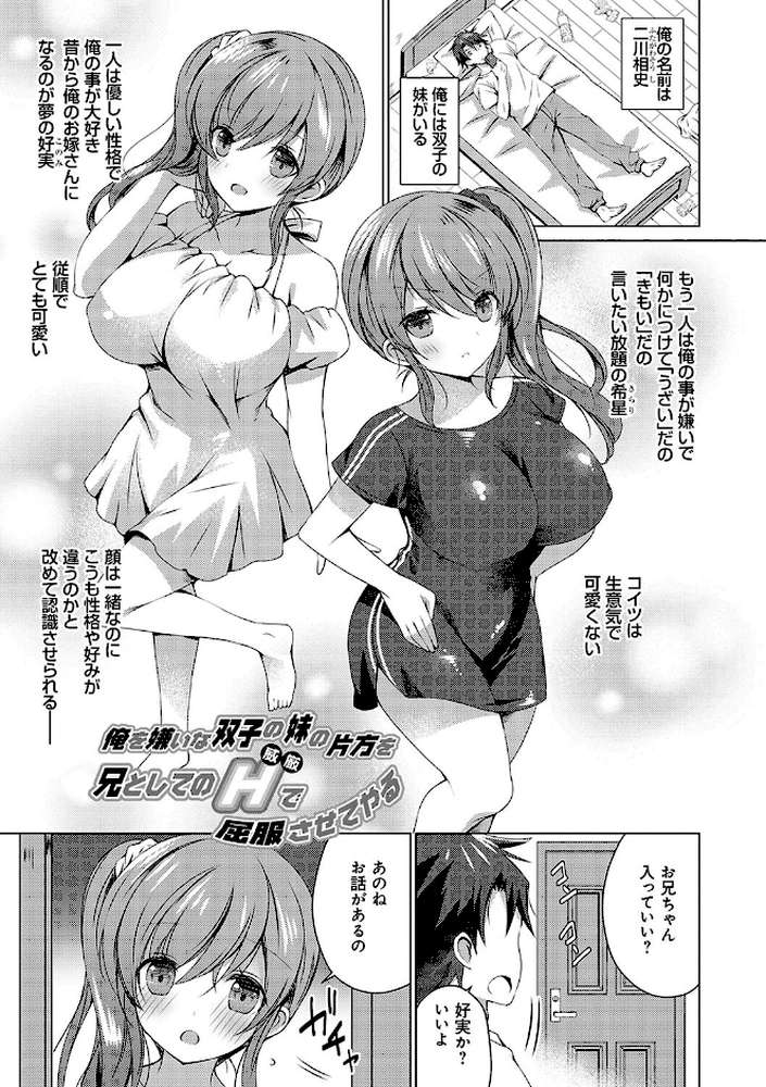 いもうとサンクチュアリ【vanilla】 (p17)