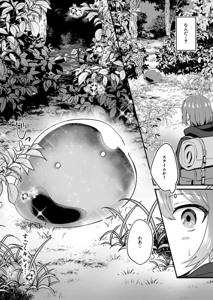 スライム助けてパーティを追放された僕が可愛い女の子たちとえっちなことをしまくる話【合冊版】【18禁】【煎餅 XPJbox】 (p5)