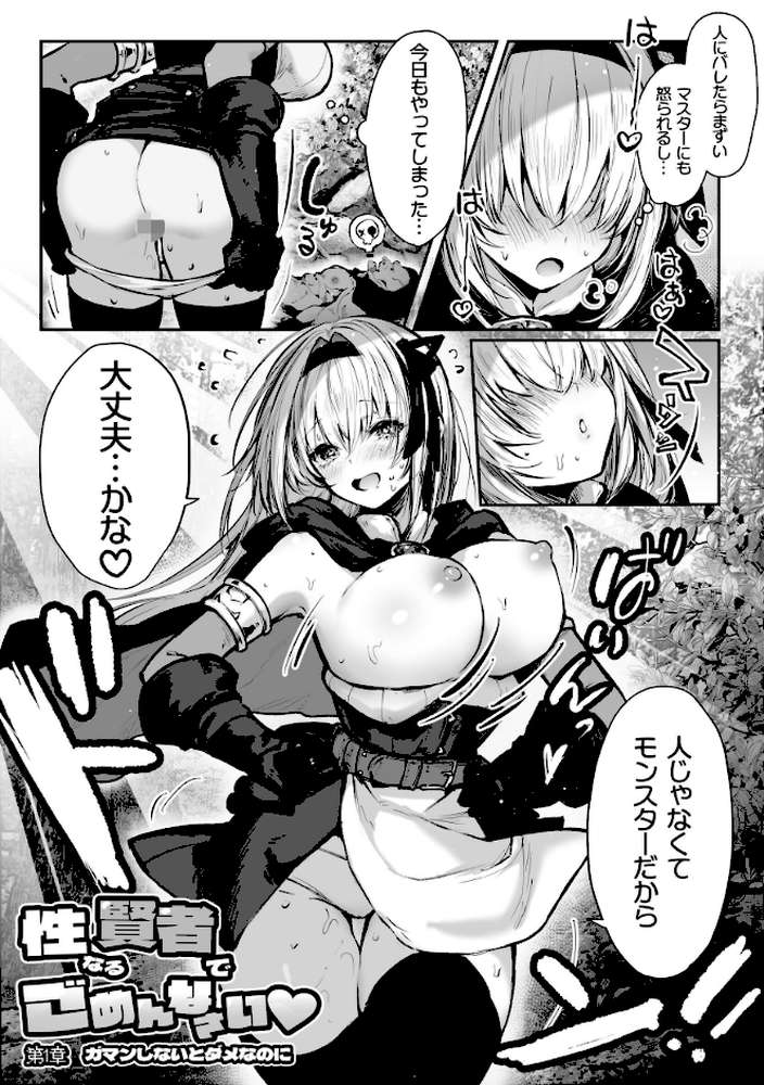 性なる賢者でごめんなさい◆ 第1章ガマンしないとダメなのに【パイレーツキャット】 (p5)