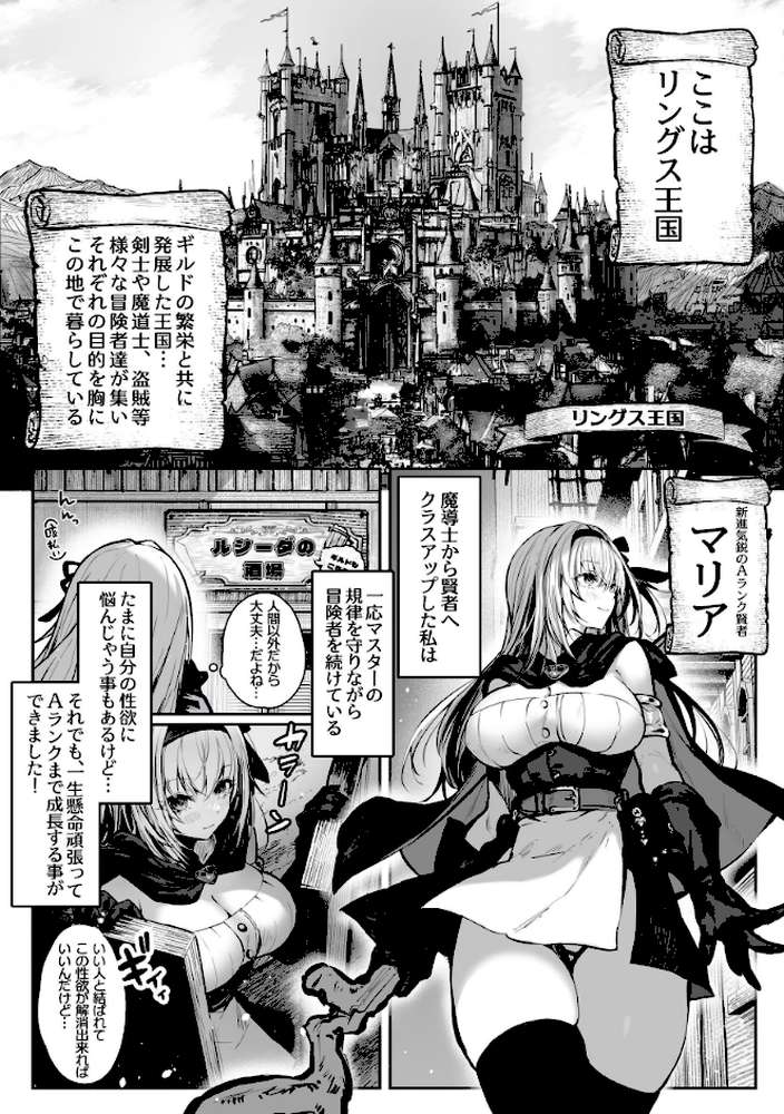 性なる賢者でごめんなさい◆ 第1章ガマンしないとダメなのに【パイレーツキャット】 (p6)