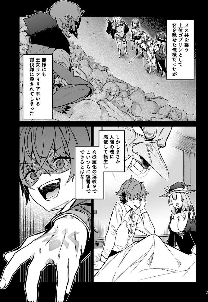 ゴブリンからはじめる世界征服2.5【diletta へたれん】 (p2)